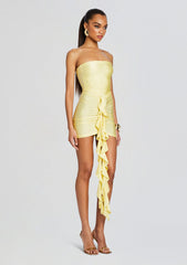 Serena Mini Dress