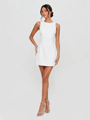 Sleeveless High Neck A-Line Mini Dress